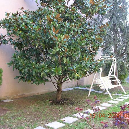 Hotel Trieste Senigallia Exterior photo