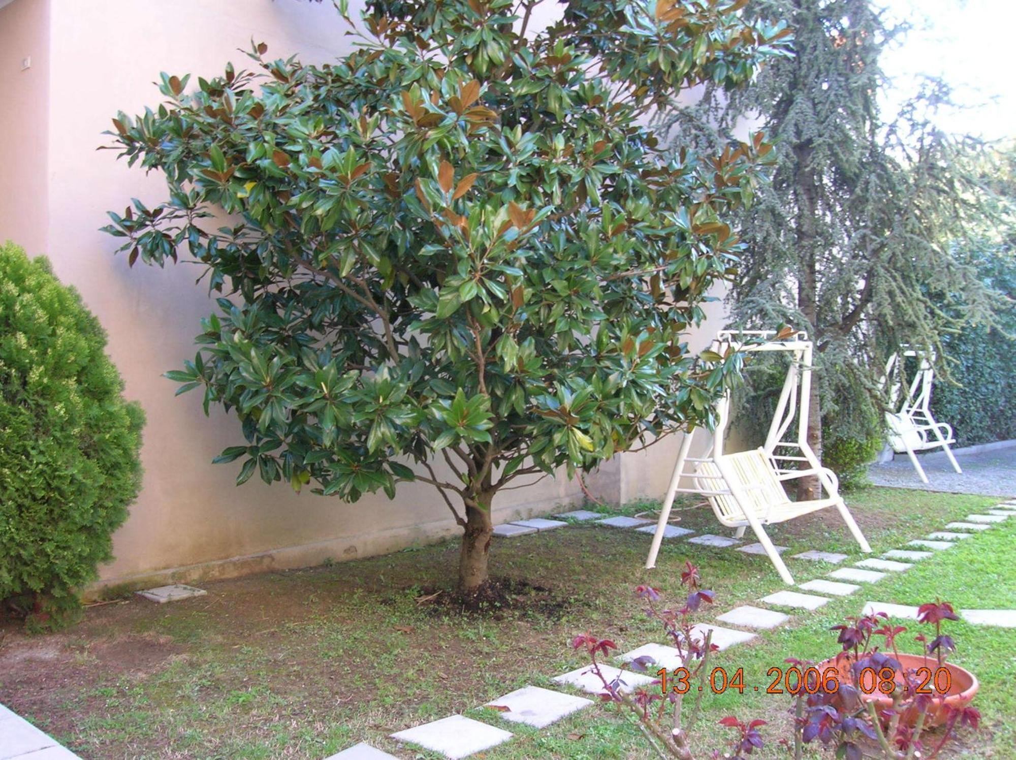 Hotel Trieste Senigallia Exterior photo